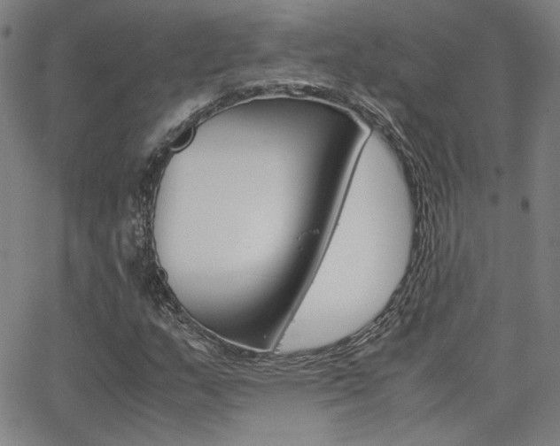 X0000062801159200512221059