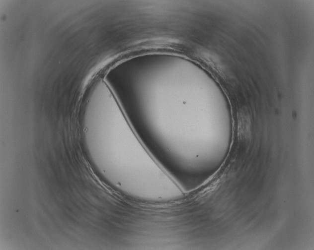 X0000062801164200512221058