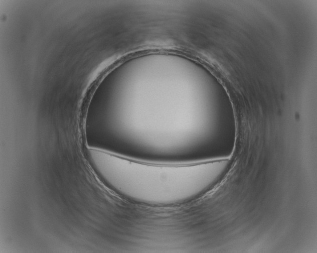 X0000062801168200512221058