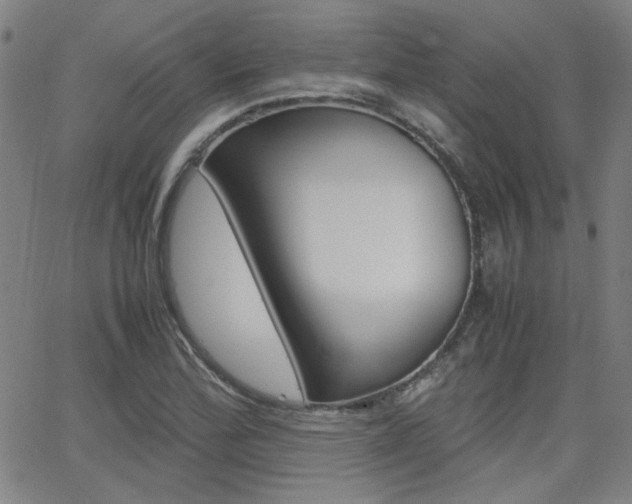 X0000062801172200512221058