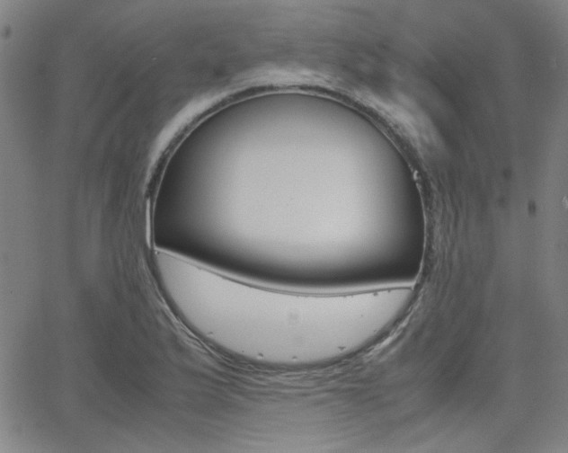 X0000062801175200512221058