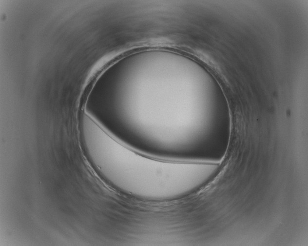 X0000062801176200512221058