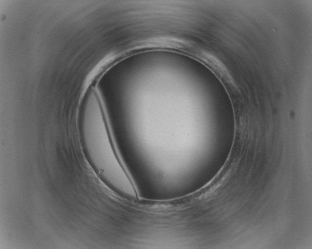 X0000062801180200512221058