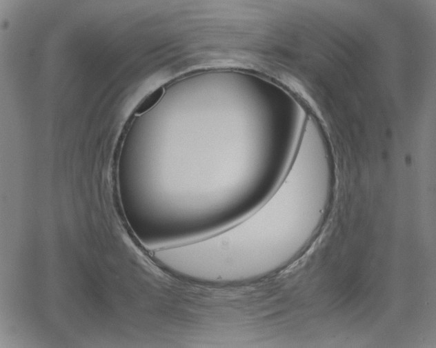 X0000062801181200512221058