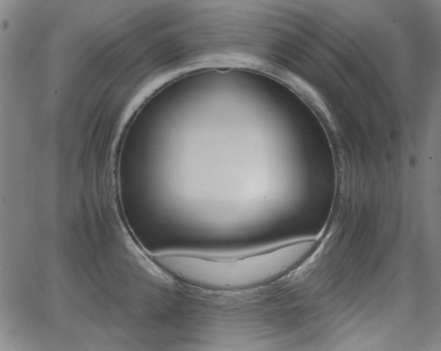 X0000062801192200512221058