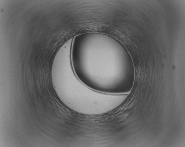 X0000062801202200512221057