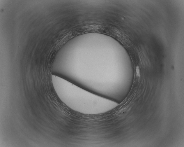 X0000062801203200512221057