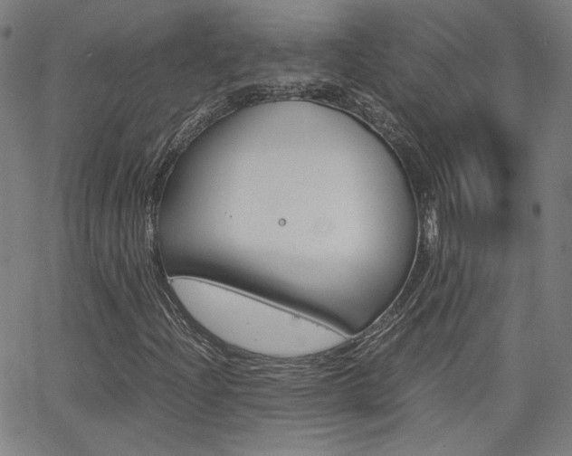X0000062801204200512221057