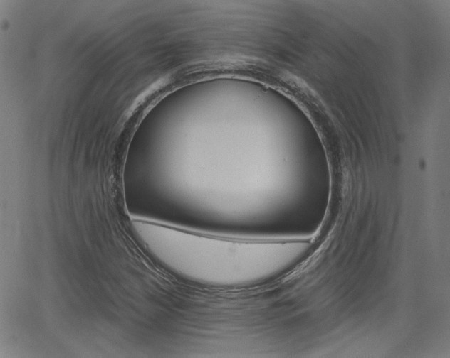 X0000062801210200512221057