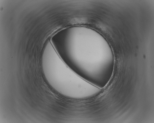 X0000062801217200512221057