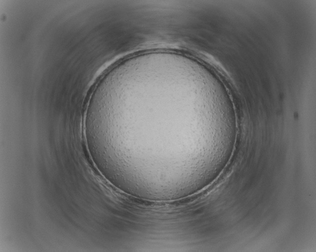 X0000062801220200512221057