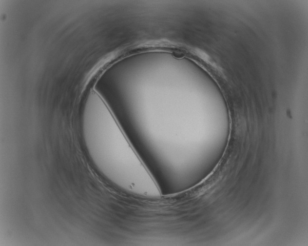 X0000062801221200512221057