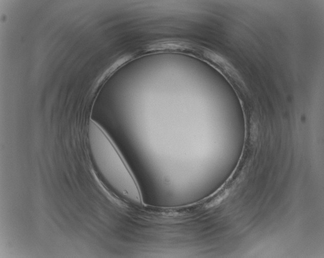 X0000062801233200512221058