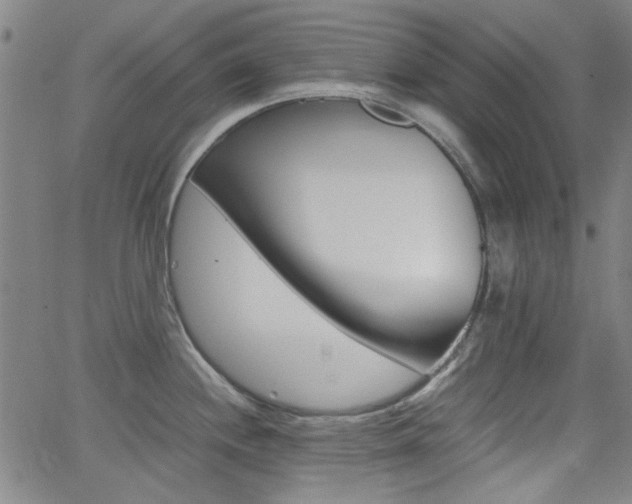 X0000062801244200512221058