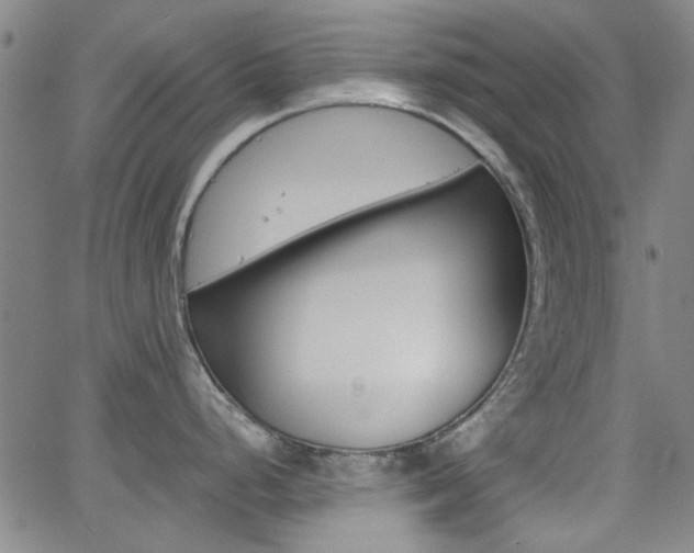 X0000062801248200512221058