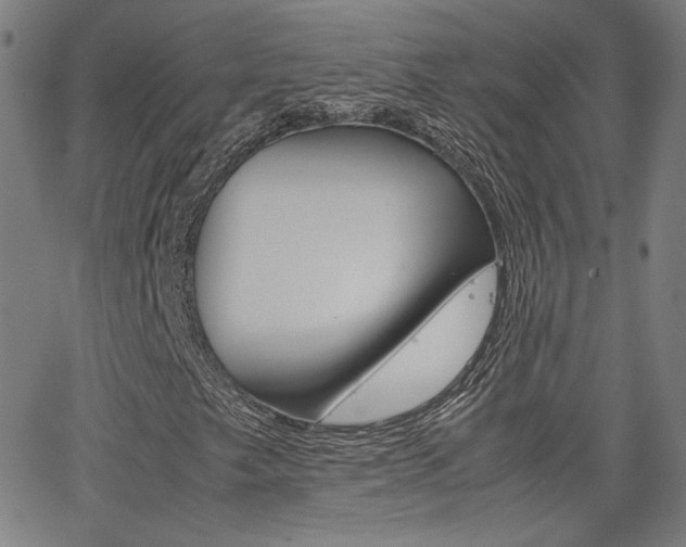 X0000062801249200512221057