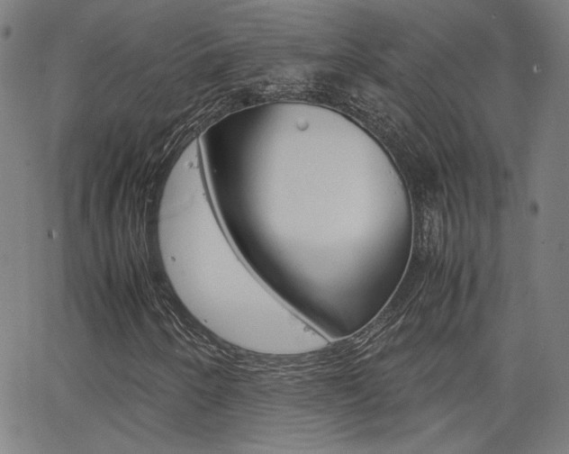 X0000062801250200512221057
