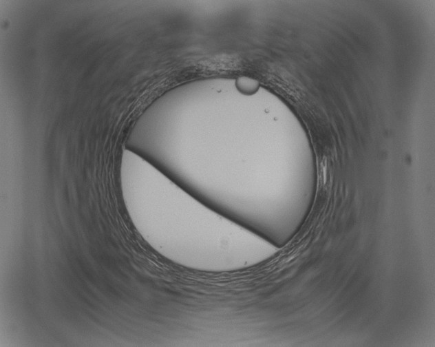 X0000062801251200512221057