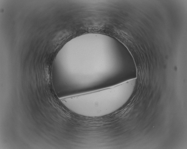 X0000062801252200512221057