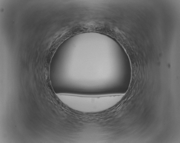X0000062801253200512221057