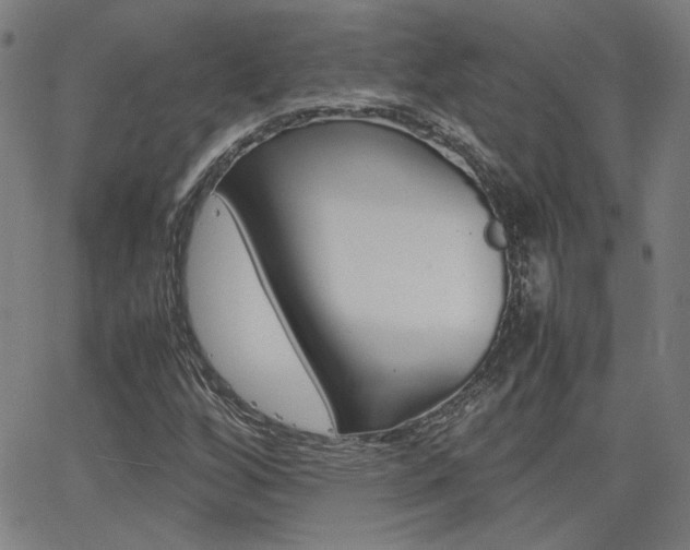 X0000062801256200512221057