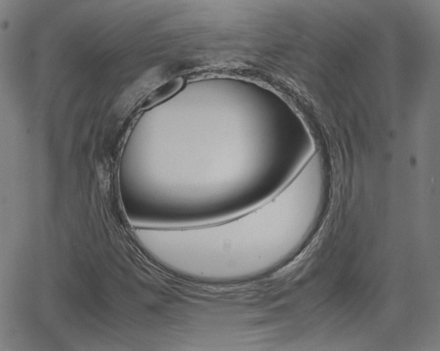 X0000062801257200512221057