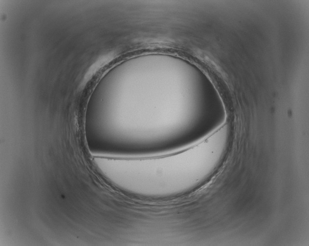 X0000062801261200512221057