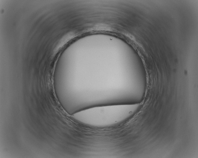 X0000062801266200512221057