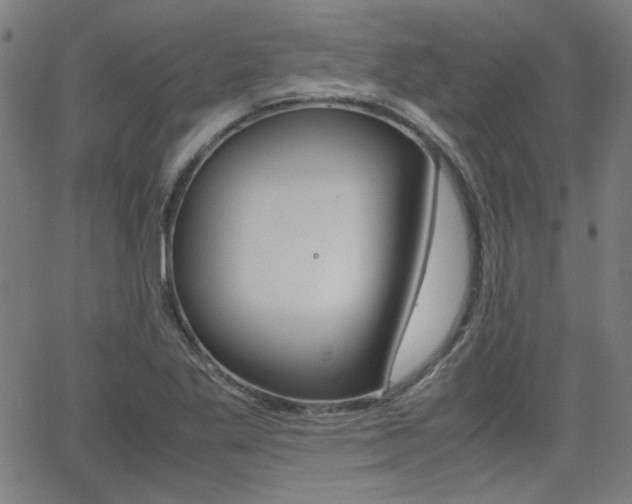 X0000062801269200512221057