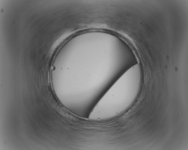 X0000062801271200512221057