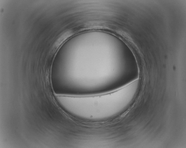 X0000062801273200512221057