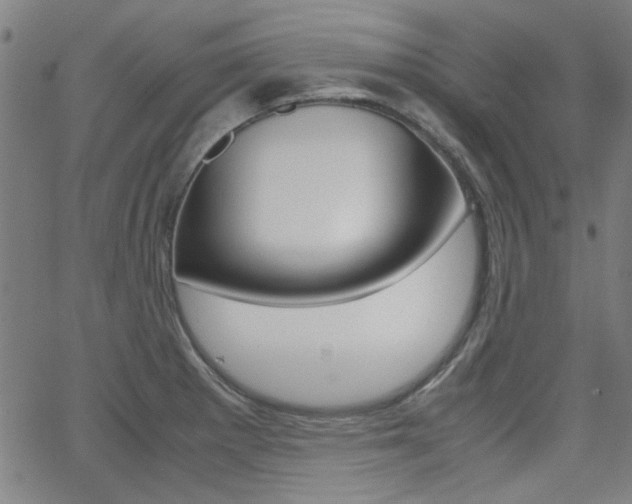 X0000062801281200512221056