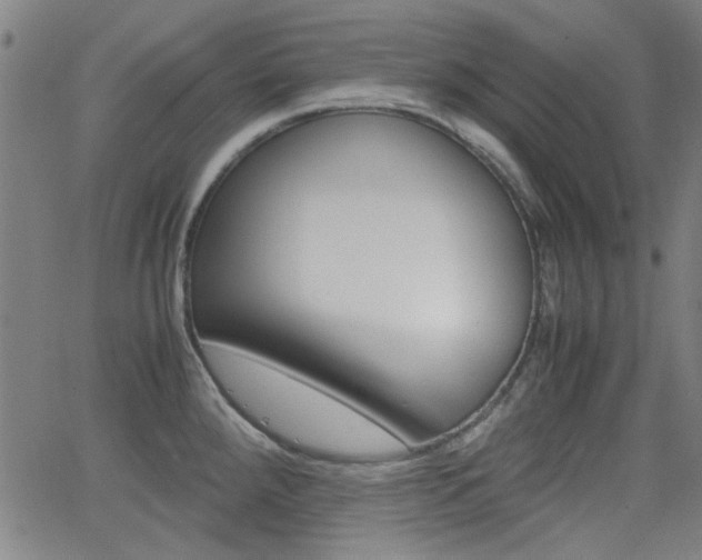 X0000062801288200512221056