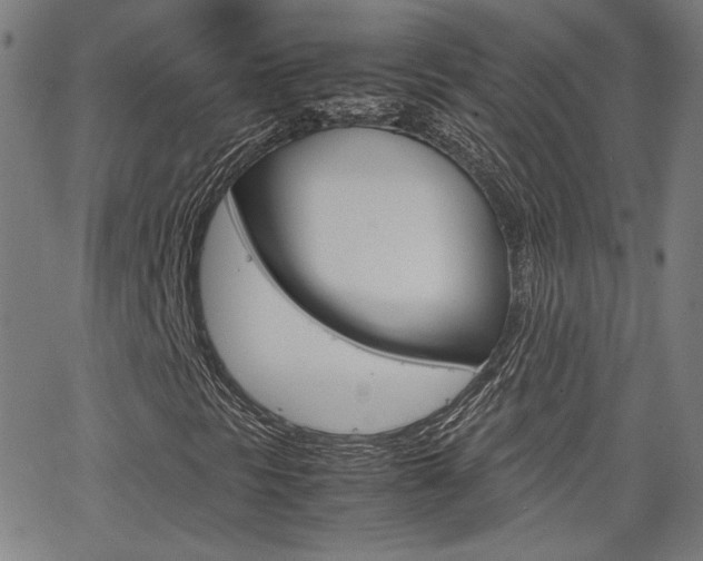 X0000062801297200512221055