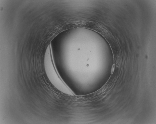 X0000062801298200512221055