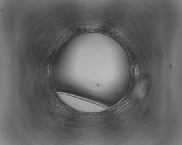 X0000062801299200512221055
