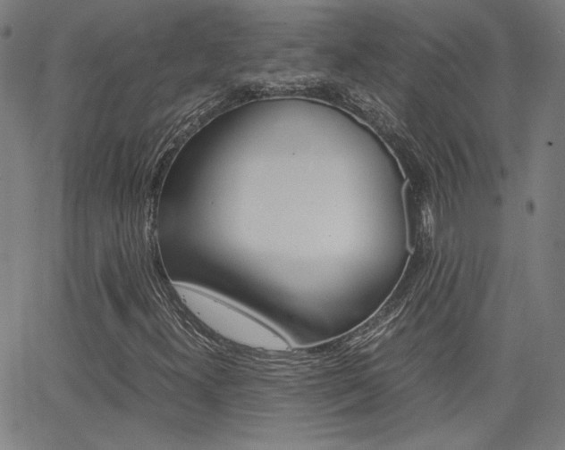X0000062801300200512221055