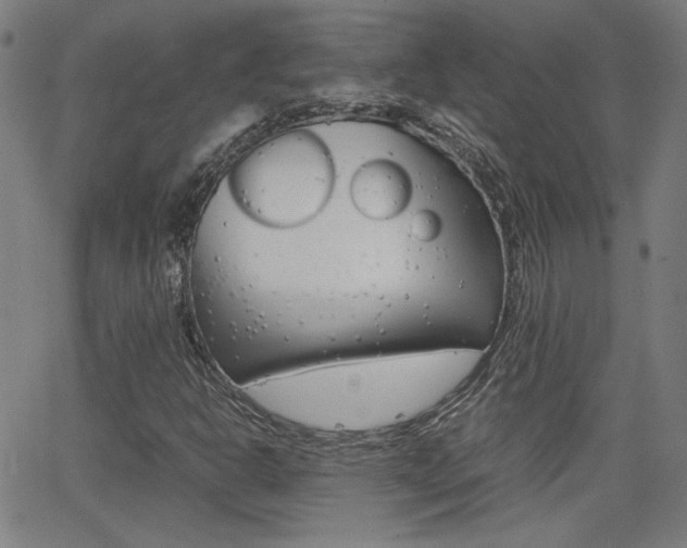 X0000062801302200512221055