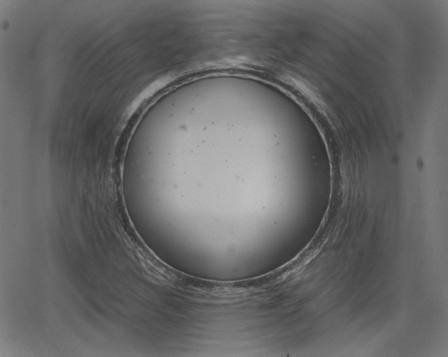 X0000062801308200512221056