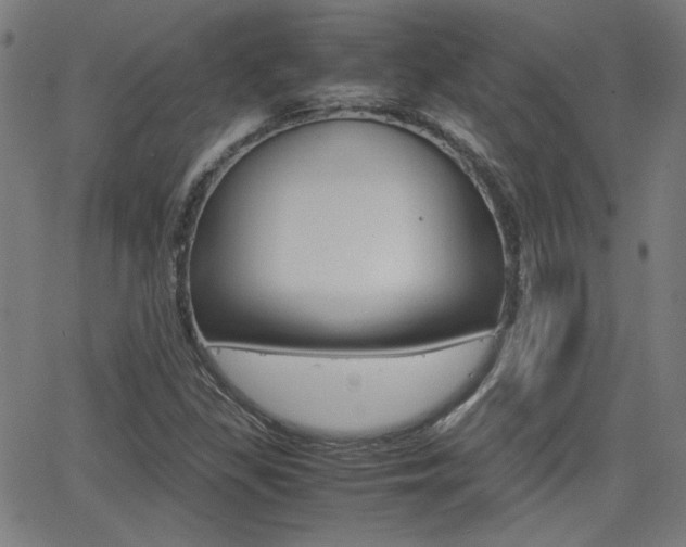 X0000062801309200512221056