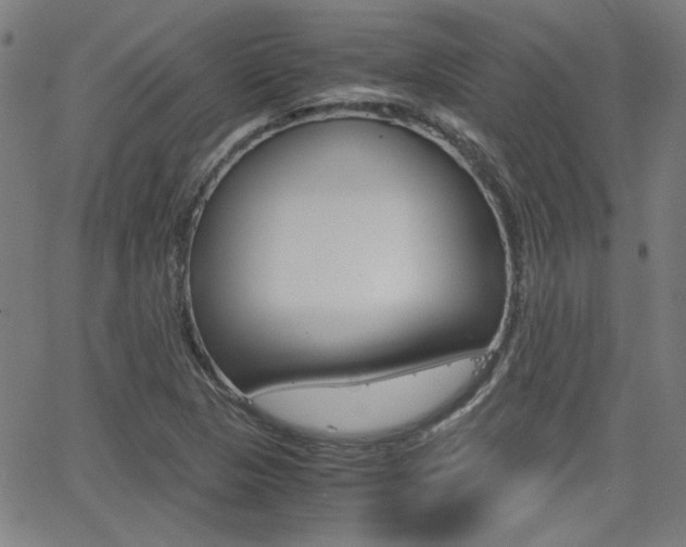 X0000062801313200512221056