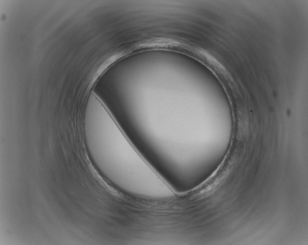 X0000062801329200512221056