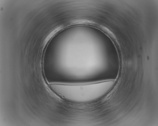X0000062801330200512221056