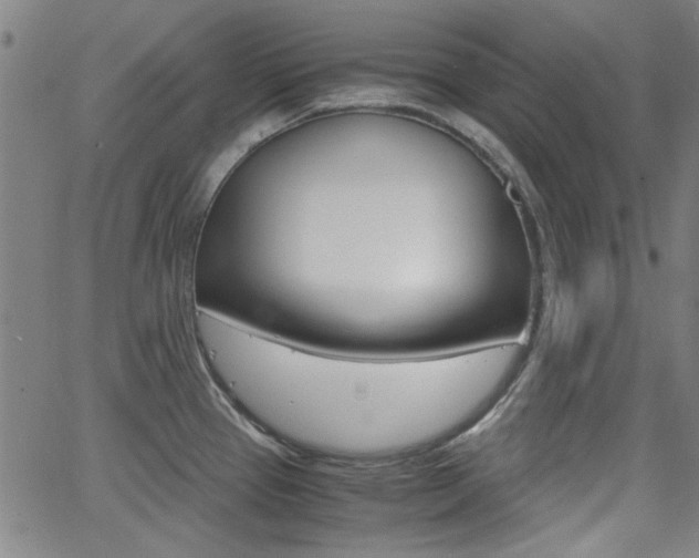 X0000062801337200512221056