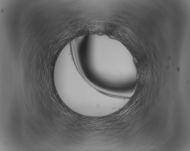 X0000062801345200512221055
