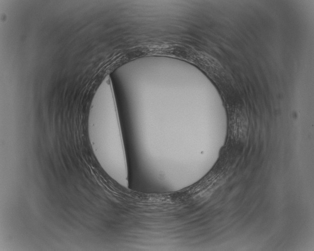X0000062801346200512221055