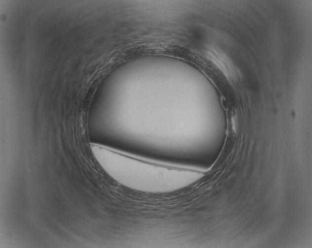 X0000062801347200512221055