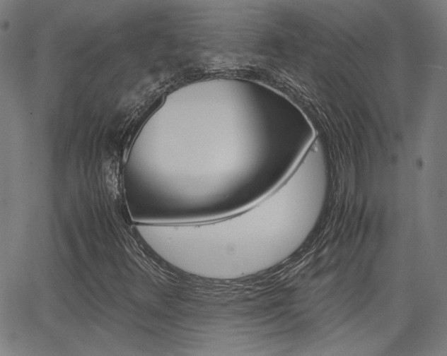 X0000062801348200512221055
