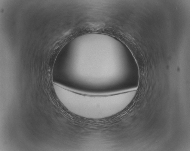 X0000062801349200512221055