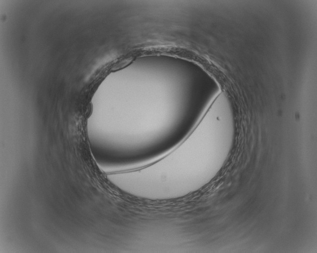 X0000062801351200512221055